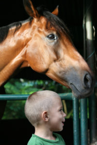 Reachout America Decide boy at camp with horse